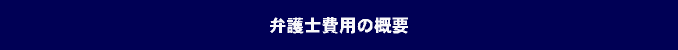 �ٌ�m��p�̊T�v