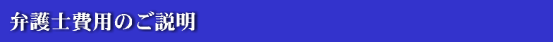 �ٌ�m��p�̂�����